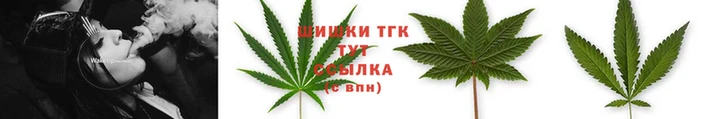 бошки Туринск