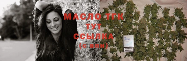 бошки Туринск