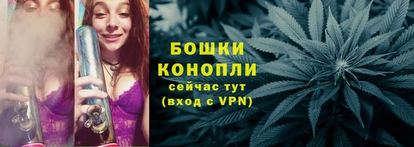 бошки Туринск