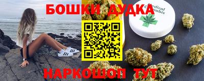 соль ск Новодвинск