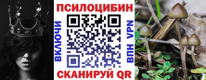 МЕГА ссылки Петропавловск-Камчатский Псилоцибиновые грибы Psilocybine cubensis