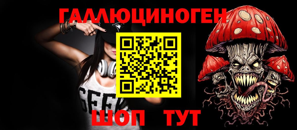 Псилоцибиновые грибы Psilocybine cubensis Петропавловск-Камчатский