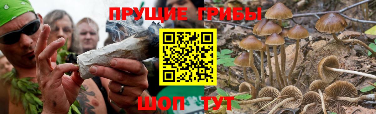 Галлюциногенные грибы GOLDEN TEACHER  Петропавловск-Камчатский  Галлюциногенные грибы GOLDEN TEACHER 